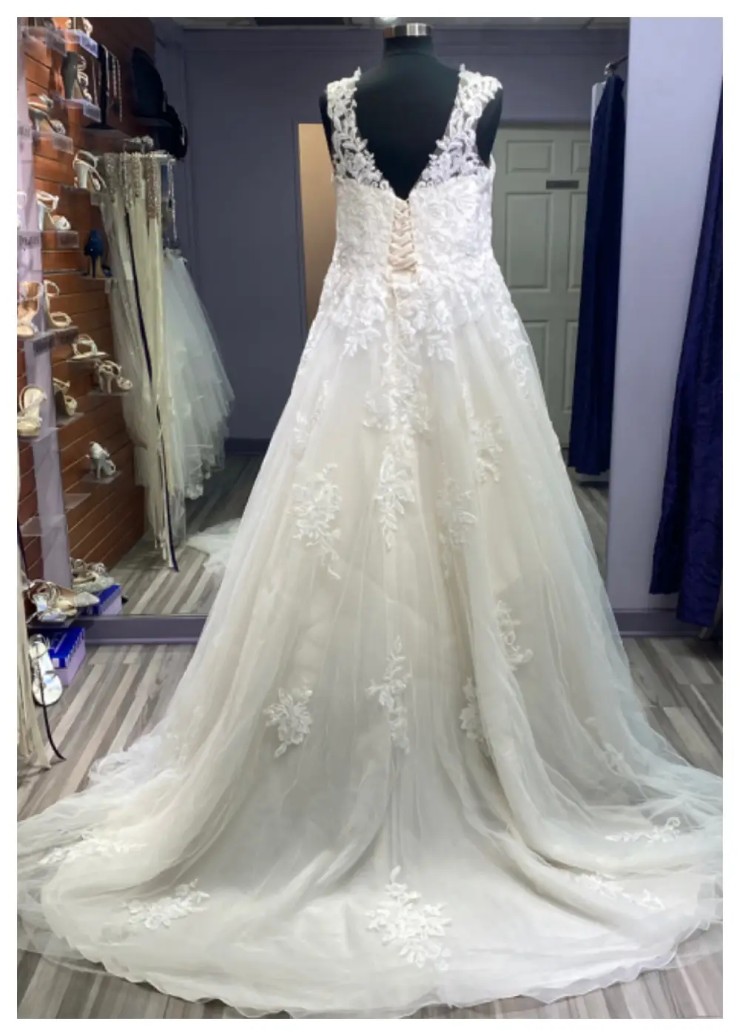 LiaMia Collection Style #3003 Backface Thumbnail Image