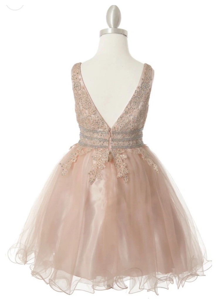 Cinderella Couture Style #5081X Backface Thumbnail Image