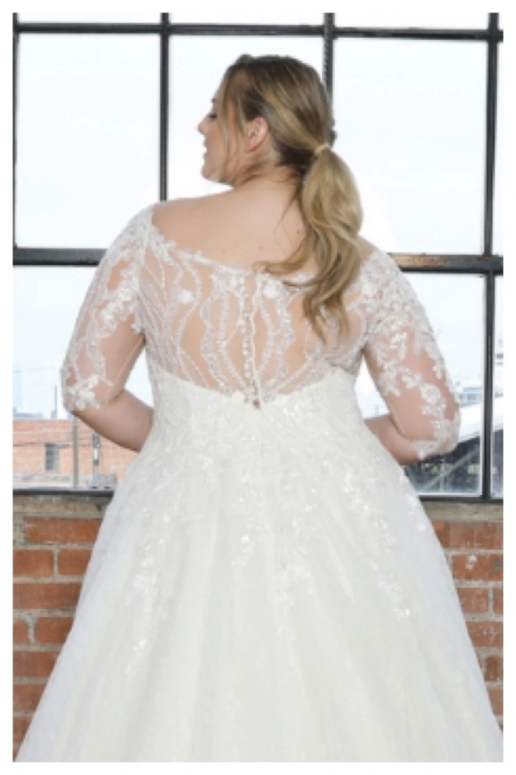 Abby Curvy Style #8054Z Backface Thumbnail Image