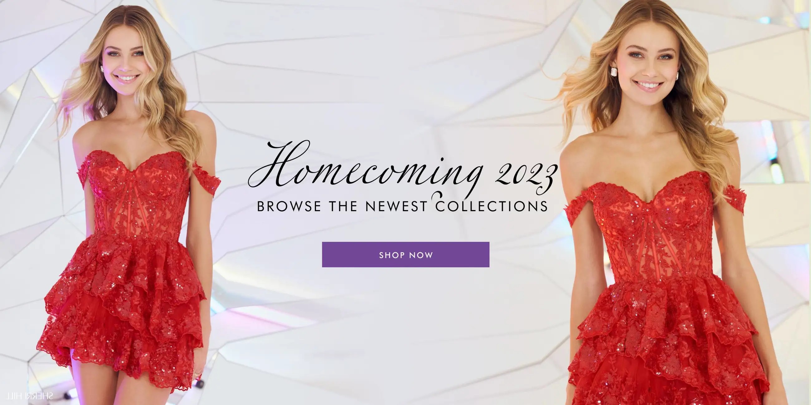 Homecoming 2023 collection Banner for Desktop